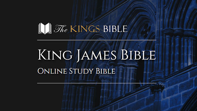 MasonSoft Technology Ltd